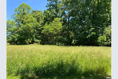 1640 Pleasant Ridge Road, Vienna, IL 62995 - Photo 37