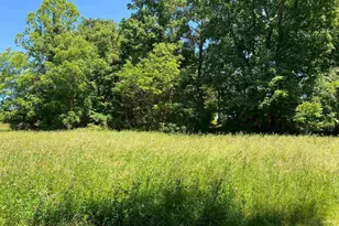 1640 Pleasant Ridge Rd, Vienna, IL 62995 - Photo 37