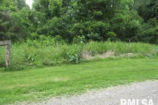 72 Shewmaker Rd, Cave In Rock, IL 62919 - Photo 37