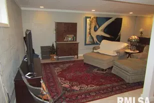 72 Shewmaker Rd, Cave In Rock, IL 62919 - Photo 25