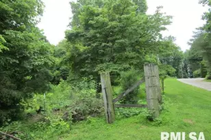 72 Shewmaker Rd, Cave In Rock, IL 62919 - Photo 43