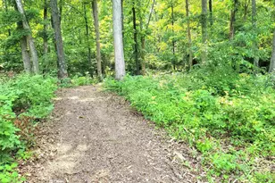 7324 State Route 161, Iuka, IL 62849 - Photo 59