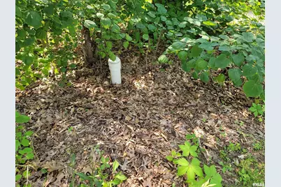 7324 State Route 161, Iuka, IL 62849 - Photo 57