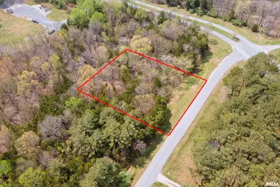 0000 Clifty Lane, Orangeville, IL 62939 - Photo 19