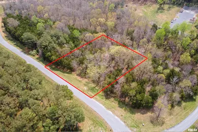 0000 Clifty Lane, Orangeville, IL 62939 - Photo 11