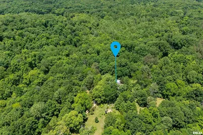 310 Cross Creek Drive, Cobden, IL 62920 - Photo 55