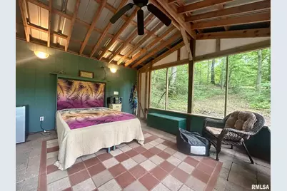 310 Cross Creek Drive, Cobden, IL 62920 - Photo 61