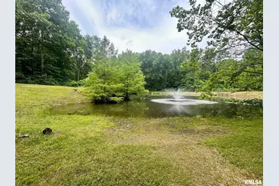 310 Cross Creek Drive, Cobden, IL 62920 - Photo 63