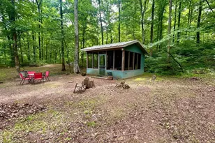 310 Cross Creek Dr, Cobden, IL 62920 - Photo 59