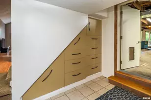 310 Cross Creek Dr, Cobden, IL 62920 - Photo 33