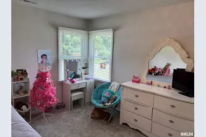 122 Paint Creek Lane, Carmi, IL 62821 - Photo 51