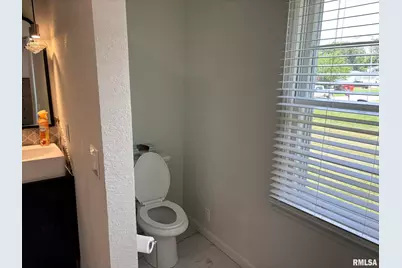 122 Paint Creek Lane, Carmi, IL 62821 - Photo 37