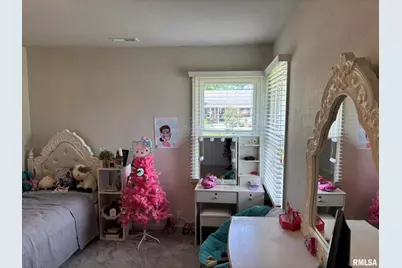 122 Paint Creek Lane, Carmi, IL 62821 - Photo 53