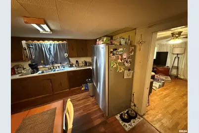 41 Cache Ave Avenue, Buncombe, IL 62912 - Photo 21