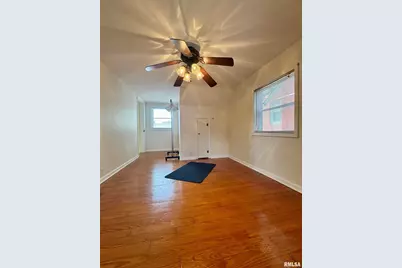 215 S Jackson Street, Harrisburg, IL 62946 - Photo 19