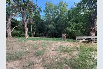 9049 Grassy Road, Marion, IL 62959 - Photo 43