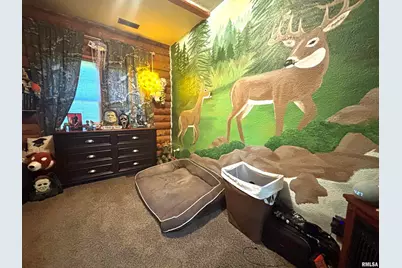 3638 Hotze Road, Salem, IL 62881 - Photo 31