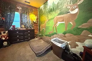 3638 Hotze Rd, Salem, IL 62881 - Photo 31