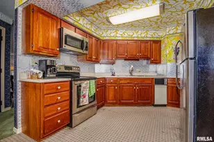 102 Lost Hollow Dr Dr, Salem, IL 62881 - Photo 23