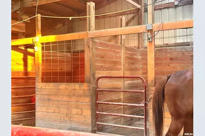 470 Washington Lane, New Burnside, IL 62967 - Photo 7