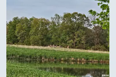 470 Washington Lane, New Burnside, IL 62967 - Photo 19