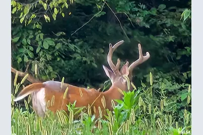 470 Washington Lane, New Burnside, IL 62967 - Photo 17