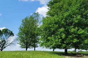 470 Washington Ln, New Burnside, IL 62967 - Photo 11