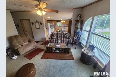 315 3rd Avenue, Grand Tower, IL 62942 - Photo 9