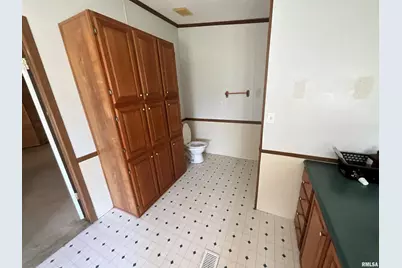 7106 Krutsinger Road, Kinmundy, IL 62854 - Photo 13