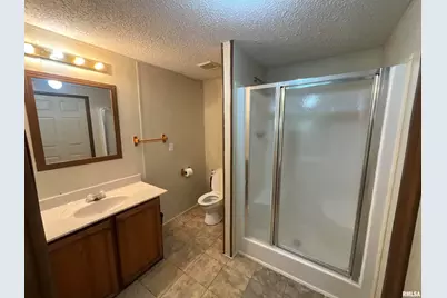 7106 Krutsinger Road, Kinmundy, IL 62854 - Photo 5