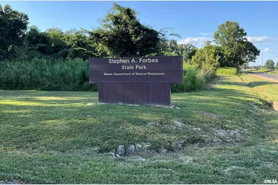 7106 Krutsinger Road, Kinmundy, IL 62854 - Photo 25