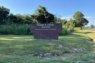 7106 Krutsinger Rd, Kinmundy, IL 62854 - Photo 25