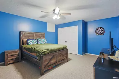 9855 N Route 37 Highway, Orangeville, IL 62939 - Photo 29