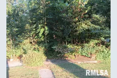 1506 Hillside Road, Rosiclare, IL 62982 - Photo 21