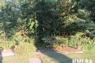 1506 Hillside Rd, Rosiclare, IL 62982 - Photo 21