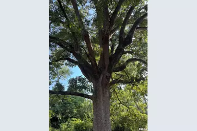 8 Northbrook Drive, Mt Vernon, IL 62864 - Photo 7