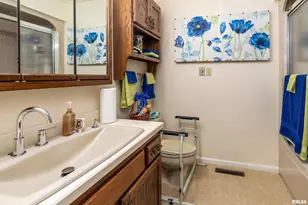 15866 Moellers Rd, Marion, IL 62959 - Photo 45