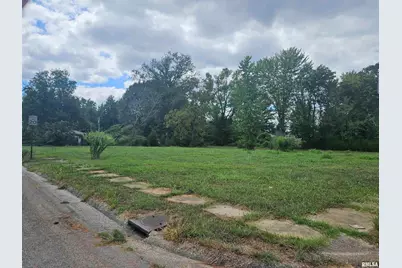 0000 Buchanan Street, Benton, IL 62812 - Photo 19