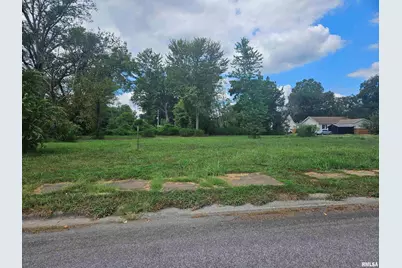 0000 Buchanan Street, Benton, IL 62812 - Photo 23