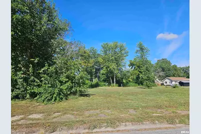 0000 Buchanan Street, Benton, IL 62812 - Photo 13