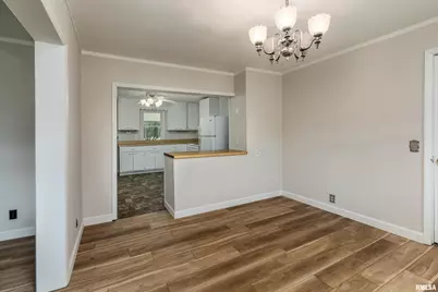 53 Private Road 1M Road, Desoto, IL 62924 - Photo 9