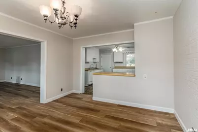 53 Private Road 1M Road, Desoto, IL 62924 - Photo 11