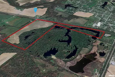 53 Private Road 1M Road, Desoto, IL 62924 - Photo 37