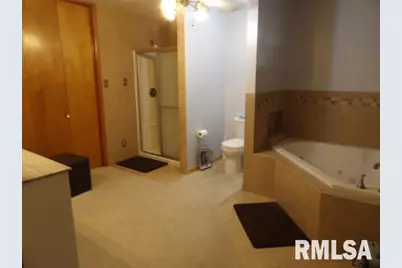 736 N Mill Street, Carrier Mills, IL 62917 - Photo 23