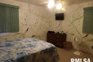 736 N Mill St, Carrier Mills, IL 62917 - Photo 19