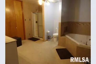 736 N Mill Street, Carrier Mills, IL 62917 - Photo 23