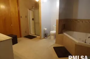 736 N Mill St, Carrier Mills, IL 62917 - Photo 23