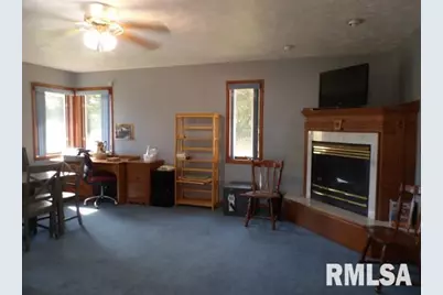 736 N Mill Street, Carrier Mills, IL 62917 - Photo 13