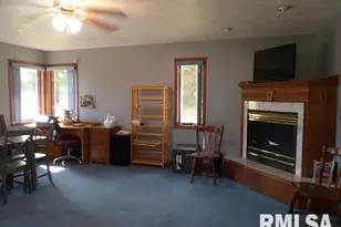 736 N Mill St, Carrier Mills, IL 62917 - Photo 13