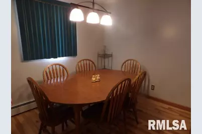 736 N Mill Street, Carrier Mills, IL 62917 - Photo 15